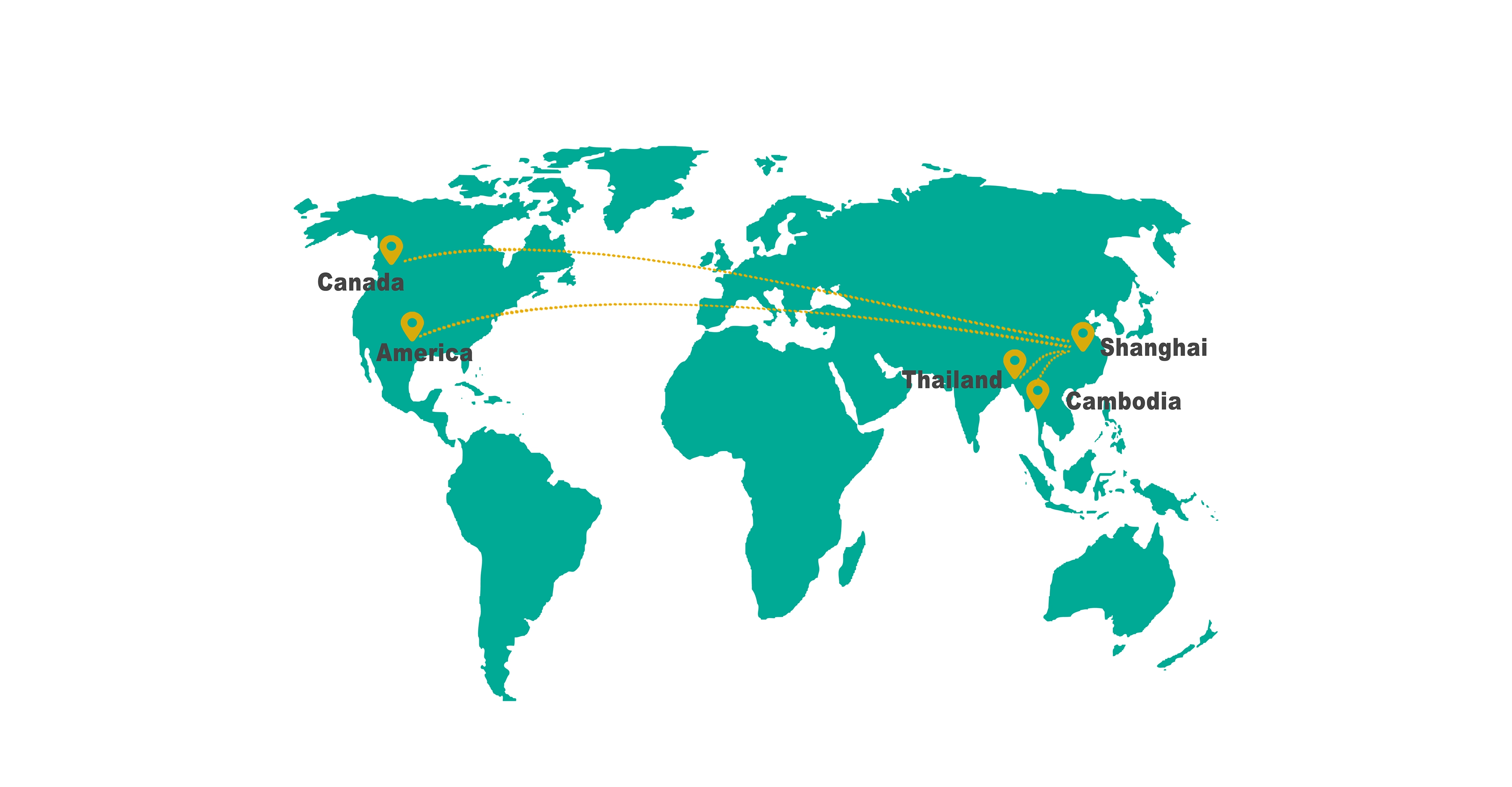 Our business covers the world